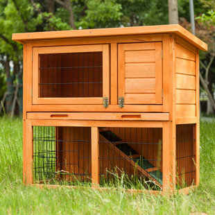 Dobbies 2025 rabbit hutch